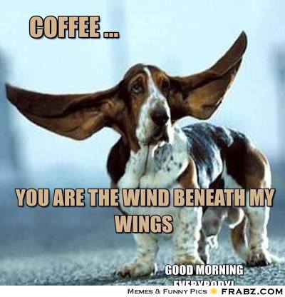 frabz-coffee-you-are-the-wind-beneath-my-wings-good-morning-everybody-0816a5